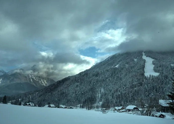 Jacobs House 아파트 크라니스카고라